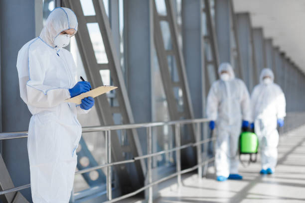 Best Attic Mold Removal  in Wyanet, IL