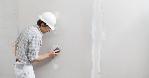 Professional Mold Removal in Wyanet, IL