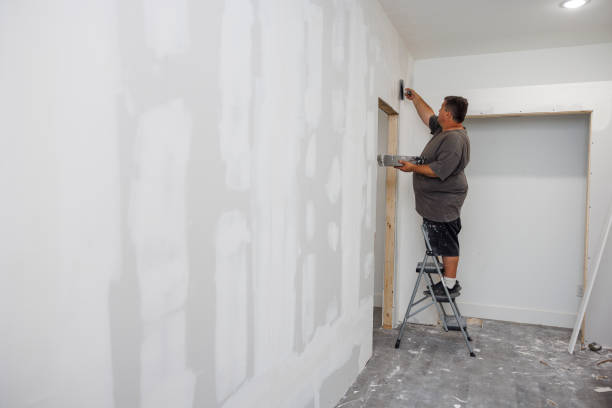 Dehumidification Services in Wyanet, IL