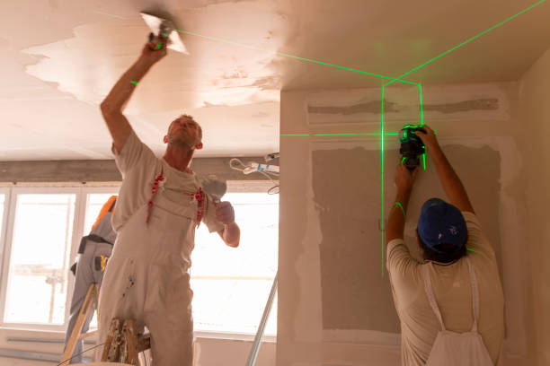 Best Forensic Mold Investigation  in Wyanet, IL