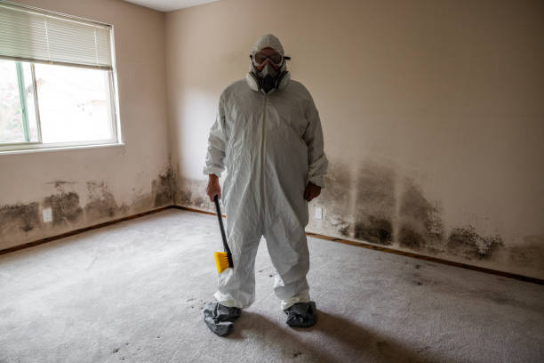 Best Real Estate Mold Inspection  in Wyanet, IL