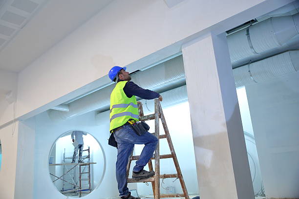 Best Biohazard Mold Removal  in Wyanet, IL